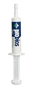 Probios Equine One Oral Gel