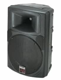 ahuja 300 watts speaker price