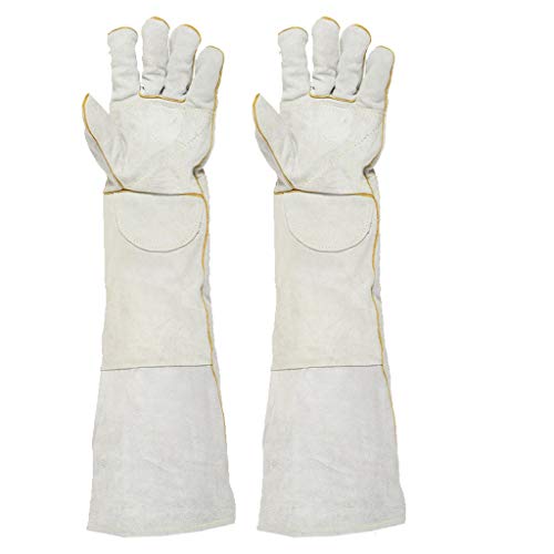 SHWSM Gants en Cuir, Dressage d'animaux, Gants de Protection, Anti-Chien, lézard, Reptile, Morsure, Gants à gratter