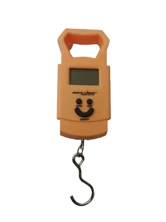 Portable Electronic Scale Zstore