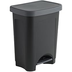 Sundis 450402 Poubelle de Cuisine StepBin à pédale avec design élégant, Plastique, Noir/Argent, 25L