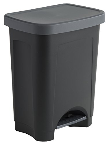 Sundis 450402 Poubelle de Cuisine StepBin à pédale avec design élégant, Plastique, Noir/Argent, 25L