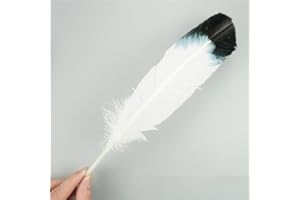 RAEF Plumes d'aigle Naturelles, 10 pièces/lot, pour Artisanat, Accessoires de Coiffure, décoration de Vacances, Plumes de Carnaval, décor Artisanal DIY