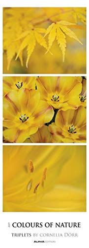 Colours of Nature 2019 - Triplets - Streifenkalender XXL (25 x 70) - Naturkalender