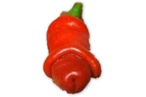 EXOTIC PLANTS Chili Peter Pepper Red - piment - 10 graines