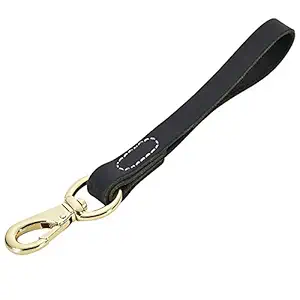 Fairwin Leather Short Dog Leash 12