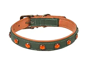 Aalee Dog/Pet Soft Leather Collar | Green/ TAN Size 36-45 cm for Small, Medium and Large Dogs