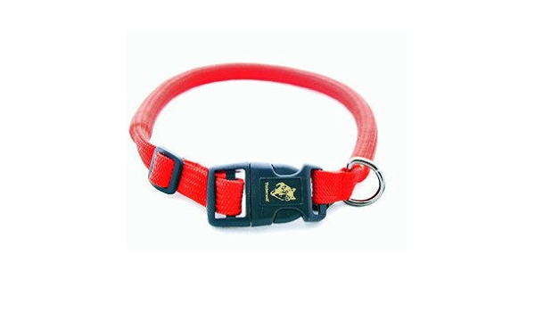 alpine dog collars