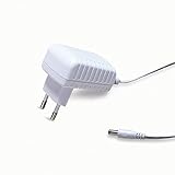 12V 1A Uscita di corrente stabile (tensione in ingresso 100-240V AC)