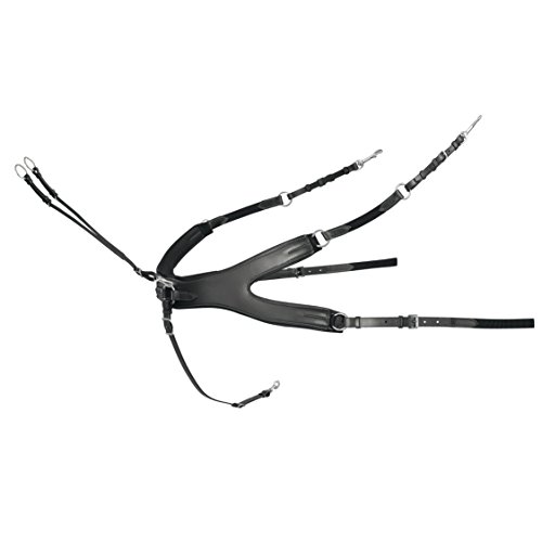 Preisvergleich Produktbild Passier - Vorderzeug AURIGA