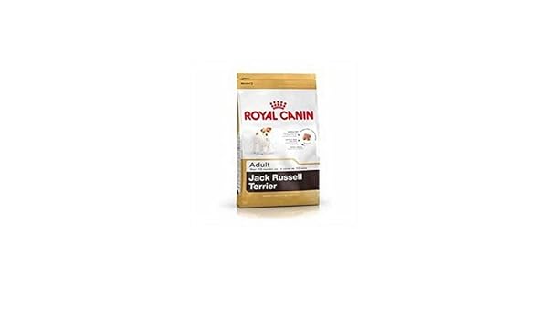 royal canin jack russell 3kg