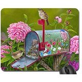 Preisvergleich Produktbild Schöne Briefkasten Mauspad, Mousepad (Birds Maus Pad)