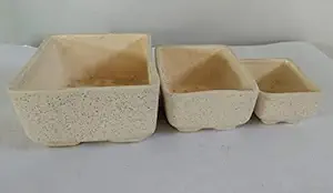 Bonsai Rectangle Ceramic Pots - Pack of Three