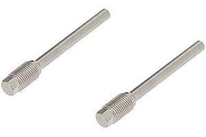 Riolo spine per pinza freni kit. 2 pz