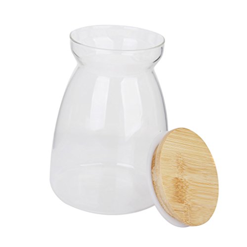 H förmigen Speicher mit Deckel Flasche Klarglas Vase für Pflanze Blume Dekor - 3