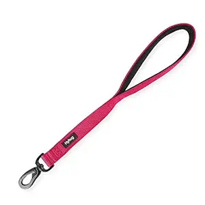 Heavy Duty Nylon 18'' Short Leash with Soft Padded Handle for Giant Large Medium Boy and Girl Dogs -Walking Training Daily Use. (Rose Red Pink)