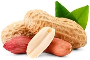 DECOALIVE Planta de Cacahuete Semillas Naturales para Cultivar en Casa de Forma Sencilla