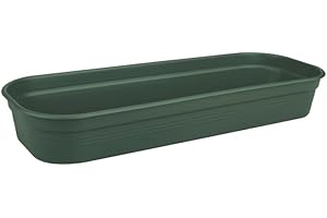 Elho Green Basics Plateau De Culture 51 - Accessoires pour Intérieur, Extérieur, Culture & Récolte - Ø 51.5 x H 7.5 cm - Vert/Leaf Green