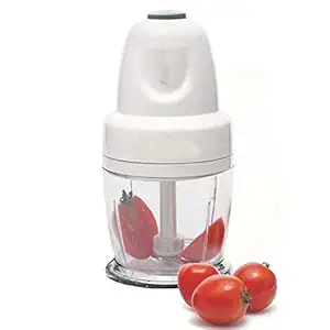 Saleshop365 Multifunction Powerful 300 W Electric Chopper