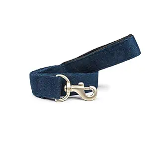 PetWale Cotton Blue Leash with Padded Handle (Blue, Large)