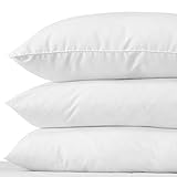 CANADA Kopfkissen Daunen Federn 80 x 80 cm, 30% Gänsedaunen / 70% Gänsefedern Typ: weich kuschelig 1000g Füllgewicht, (80 x 80cm) CANADA Kopfkissen Daunen Federn 80 x 80 cm, 30% Gänsedaunen / 70% Gänsefedern Typ: weich kuschelig 1000g Füllgewicht, (80 x 80cm)