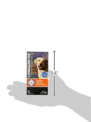 Cosequin-Ds-Chewables-Plus-Msm-60Ct