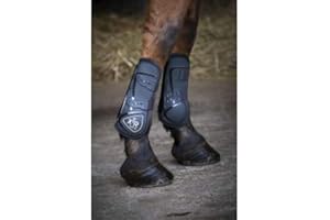 Norton Guêtres XTR à Boutons - Couleurs - Marine, Taille Equipement Cheval - Poney