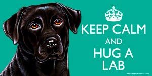 Labrador Black Dog Gift - 'KEEP CALM' LARGE colourful 4" x 8" MAGNET - High Quality flexible magnet for indoor or outdoor use for your Fridge, Car, Caravan or use on any flat metal surface -Water proof and UV resistant.