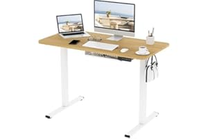 FLEXISPOT EF1 set - Escritorio Elevable Eléctrico con Tablero Entero(Arce,120*60*1.6cm)｜Standing Desk Estánder, Regulable en Altura 71-121cm｜con 4 Opciones de Memoria Inteligente para Oficina y Hogar