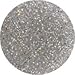 nail perfection 3.5g STARDUST acrylic nails powder (Holographic silver glitter)