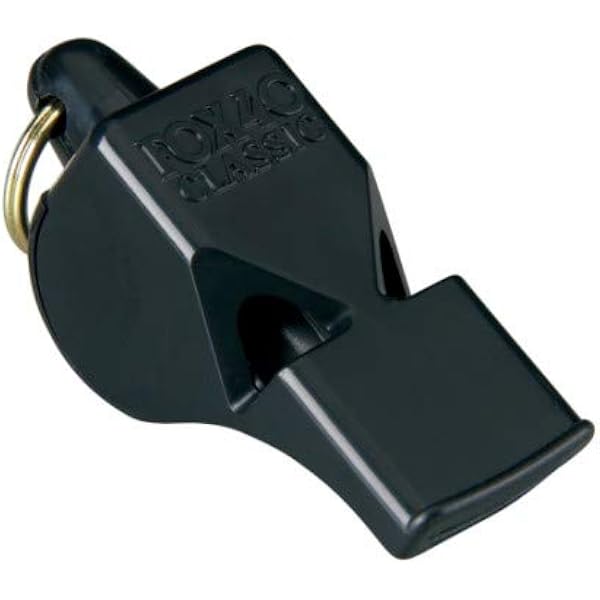 Sifflet Voyage Sifflets En Acier Inoxydable Porte-clés D'urgence Sifflet Voyage Sifflets En Acier Inoxydable Porte-clés D'urgence