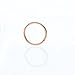 Price comparison product image DIKEWANG 1PC Seamless Hinged Segment Sleeper Clicker Ring Hoop Ear Lip Nose Septum Piercing Jewelry Decoration (Rose Gold)