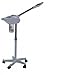 Beauty Salon Supplies Deluxe Facial Beauty Aromatherapy Steamer and Stand with ozone