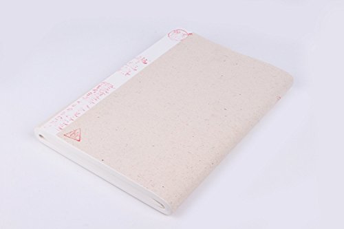 Semi behandelt Reis (Xuan) Papier für chinesische japanische Kalligraphie und Malerei 100 Blatt Pack 34 cm von 70 cm - 2