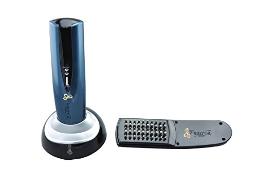 Project E Beauty Massager Comb Combines Infrared Technology, Ozone Therapy, Massage Therapy and Traditional Oriental Medicine Theory to Promote Blood Circulation to Scalp to Prevent Hair Loss and Promote Hair Regrowth Among Men and Women