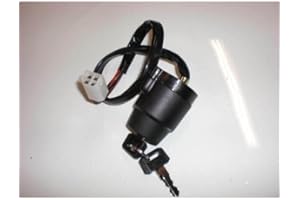 BRAZOLINE Compatible avec/Remplacement pour 125 DTMX- NEIMAN CONTACTEUR A CLEF SWI031