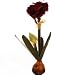 Produktbild Amaryllis mit Zwiebel - Dunkelgrün/Bordeauxfarben (künstlich)