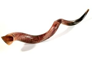 SHOFAROT ISRAEL Schofar Shofar Kosher Yemenite Horn Polished Natural Showfar Schofar Kudu Antelope Twisty Passover Jumbo koscher Hupe
