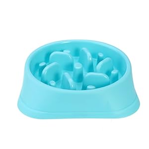 UEETEK Bowl tazón de fuente del animal doméstico gato alimentador del perro lento abajo comiendo