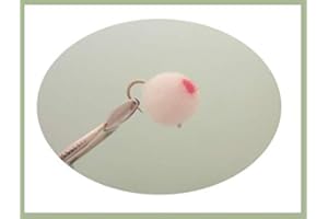TROUTFLIES UK EGG AND BLOB FLIES Egg Flies, 6 Pack White Egg Fly, Red Spot size 10, for fly fishing, Trout flies