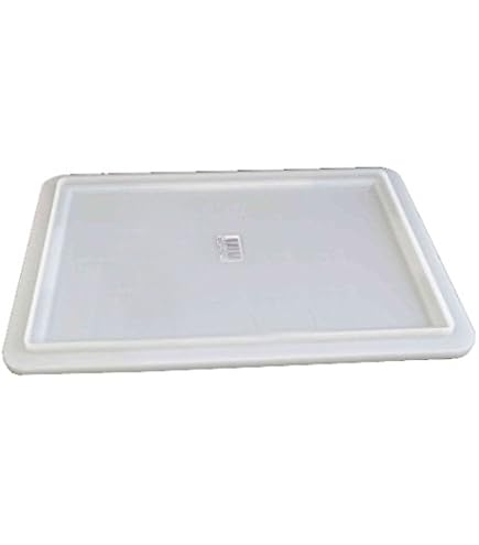 CASSETTA CONTENITORE SERVICE 30x40 H10 PANETTI PALLINE PIZZA E/O COPERCHIO 2024