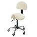 Price comparison product image Harima Lightweight Stainless Steel Saddle Chair | Backrest Support & Adjustable Height | Salon, Spa & Massage Therapy, Cosmetic & Tattoo Treatment, Medical & Dental Clinic Use | 39.5x34.5x88.1-98.5cm