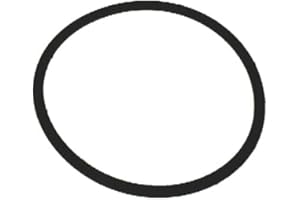 GAL GUARNIZIONE AMB INSACCATRICE RL 6.5