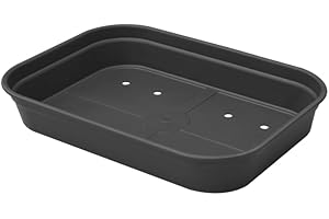 Elho Green Basics Plateau De Culture 36 - Accessoires pour Intérieur, Extérieur, Culture & Récolte - Ø 36.0 x H 6.3 cm - Noir/Living Noir