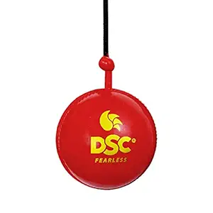 DSC Hanging Synthetic Cricket Ball (Red, Club Size)