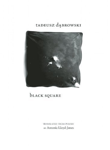 Black Square (New Polish Writing) (Polish Edition) by Tadeusz Dabrowski (2011-09-20)
