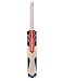 Gray Nicolls Supernova Powerplay Kashmir Willow Cricket Bat, Short Handle RS.1200.00