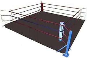 BuyBuy Sports - Tapis de sol en toile pour MMA (toile) pour Jiu Jitsu brésilien, BJJ, judo arts martiaux et entraînement de fitness, boxe, lutte, gymnastique et arts martiaux