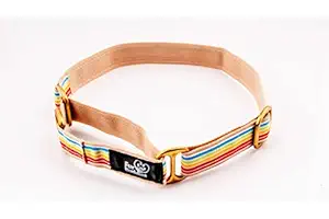 FurBuddies - Satrangi Martingale Collar for Dogs - Pack of 1, (Multicolor, S)