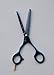 Gifaz - Hairdresser Scissors Inox Professional - In Titanium - 125 mm